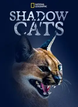Shadow Cats (2022)